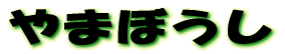 Ì쏊 